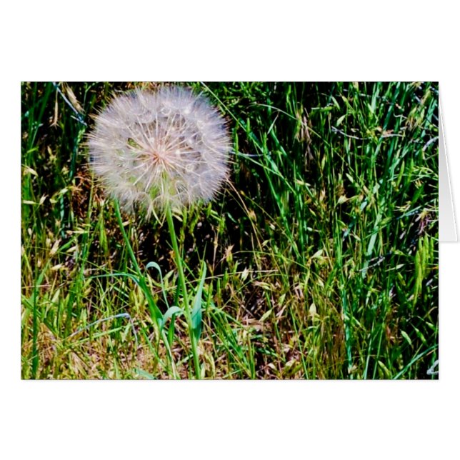 Sammlung "Make a Wish" (Vorderseite (Horizontal))