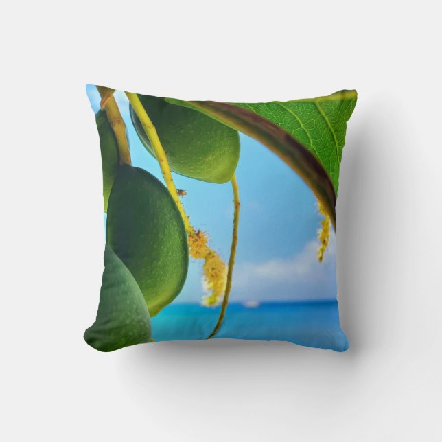 Sammlung tropischer Essenzen - tropisches Obst und Kissen (Vorderseite)