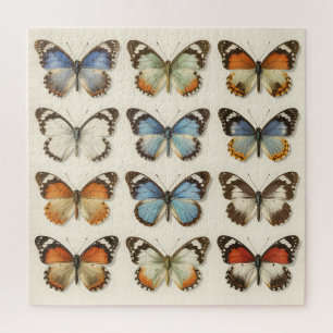 Sammlung vintage Schmetterlingsexemplare Puzzle
