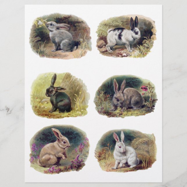 Sammlung Vintager Bunnies von H. Maguire (Vorderseite)