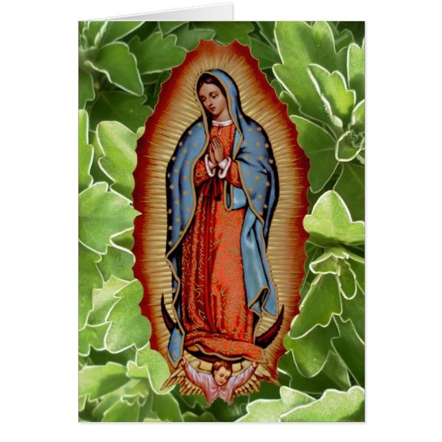 SAMMLUNG VIRGEN DES GUADALUPE (Vorne)