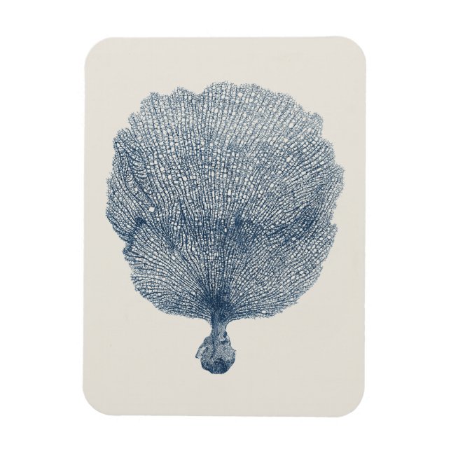 Sammlung von Küsten in Indiz VI Magnet (Vertikal)