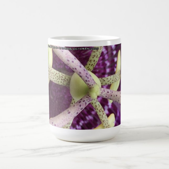 Sammlung von nah-up-Pistils und Stamen-Blume Kaffeetasse (Mittel)