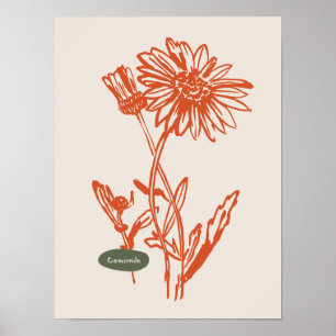 Sammlung von Naturkunstplakaten Poster