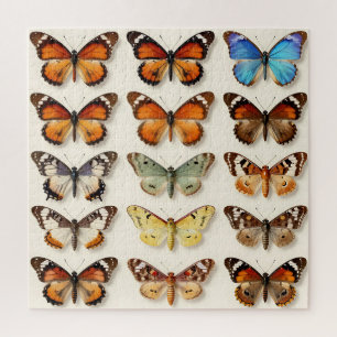 Sammlung von Schmetterlingen in Gitter-Anordnung i Puzzle