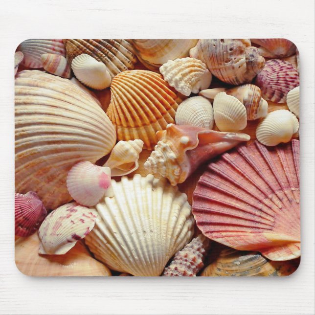 Sammlung von Seashells Scallops Clams and Conch Mousepad (Vorne)