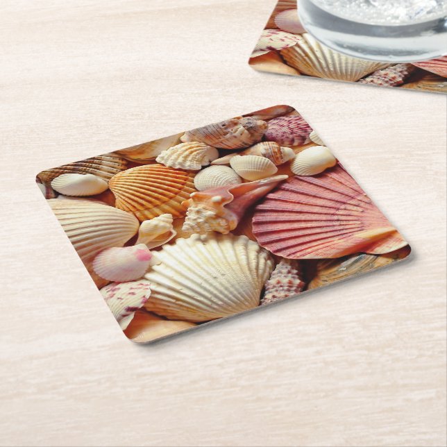Sammlung von Seashells Scallops Clams and Conch Rechteckiger Pappuntersetzer (angewinkelt)
