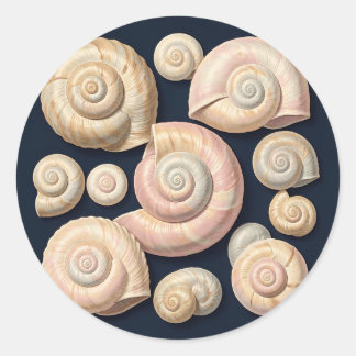 Sammlung von spiralförmigen Meeresschnecken Beige Runder Aufkleber