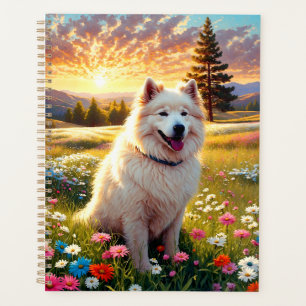 Samojede-Hund   Planer