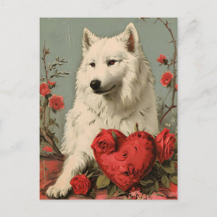 Samojede Valentinstag im Vintage-Stil Postkarte