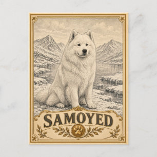 Samojede, Vintage Heritage Hund Postkarte