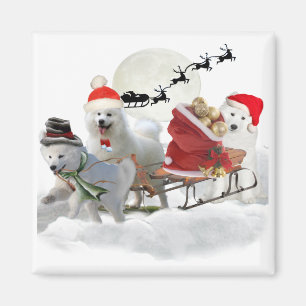 Samotische Weihnachtsmagenten Magnet