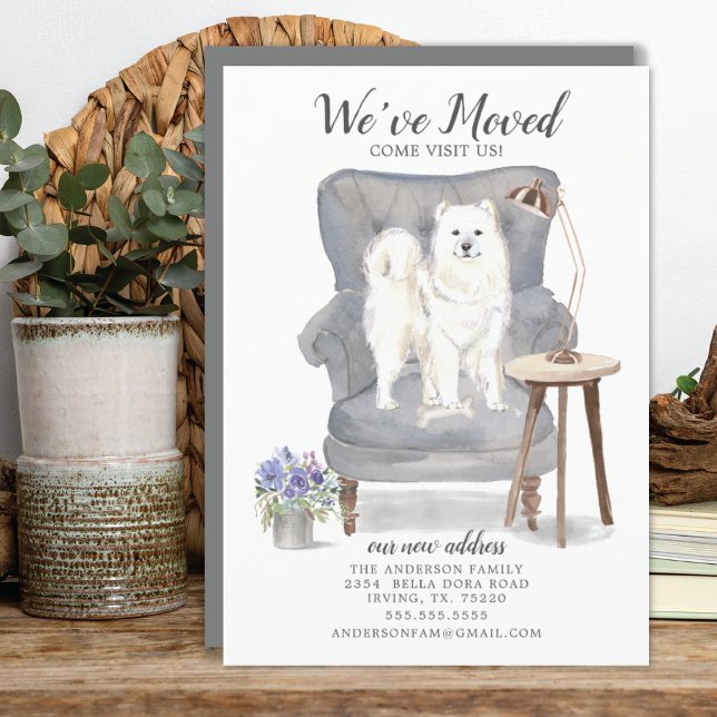 samoyed | Ankündigung der Beförderung (Von Creator hochgeladen)