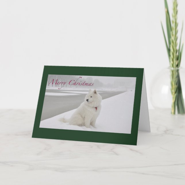 Samoyed Christmas (Lincoln Memorial) Feiertagskarte (Vorderseite)