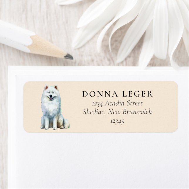 Samoyed Dog (Insitu)