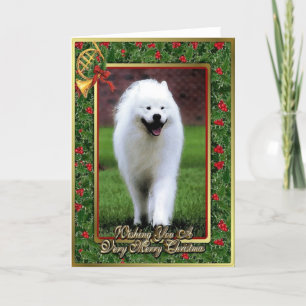 Samoyed Dog Blank Christmas Card Feiertagskarte