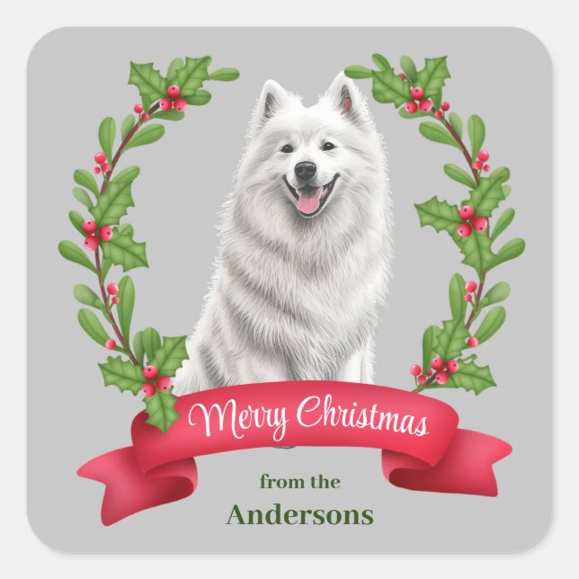Samoyed Dog Holly Banner Weihnachten Quadratischer Aufkleber (Vorderseite)