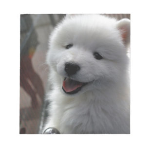 Samoyed Dog Notizblock