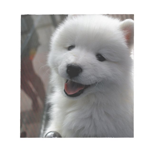 Samoyed Dog Notizblock (Vorderseite)
