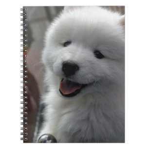 Samoyed Dog Notizblock