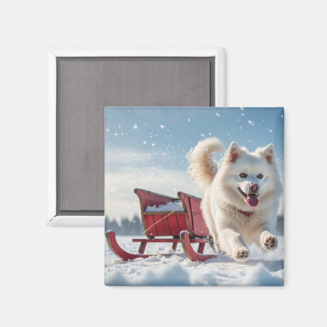 Samoyed Festivals Weihnachten Magnet (Vorderseite/Rückseite)