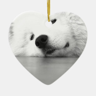 Samoyed-Foto-Hundeweiß Keramik Ornament