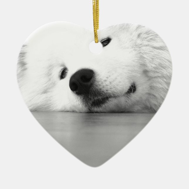 Samoyed-Foto-Hundeweiß Keramik Ornament (Vorne)