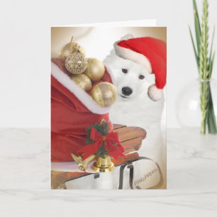 Samoyed Friends Rodelbahn Karte