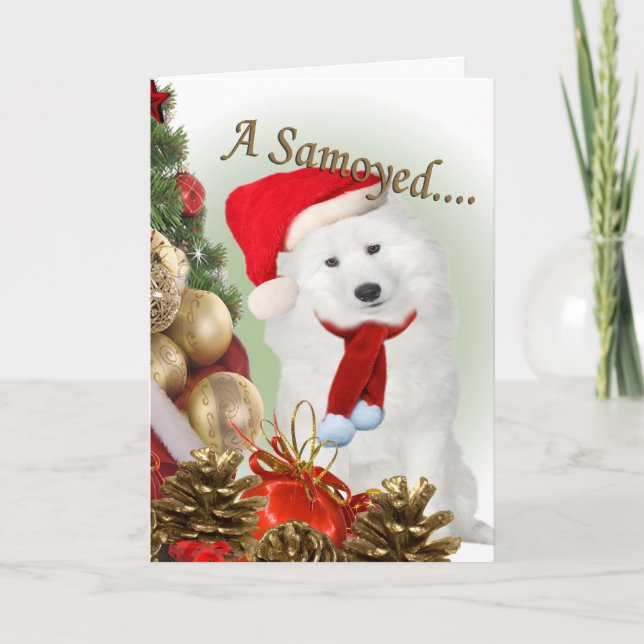 Samoyed Frohe Weihnachtskarte Feiertagskarte (Vorderseite)