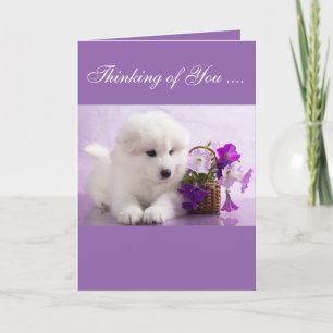 Samoyed Greeting Card Thinking of You Karte