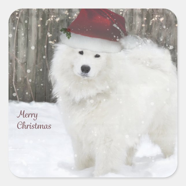 Samoyed Holiday Stickers - 20 gerundete Plätze (Vorderseite)