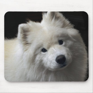 Samoyed-Hund Mousepad