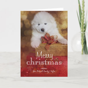 Samoyed-Hündchen mit Weihnachtsgeschenken Feiertagskarte