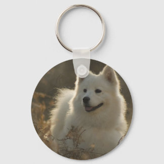 Samoyed Hunde Rasse Schlüsselanhänger