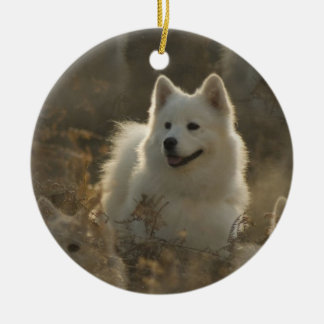 Samoyed-Hundeverzierung Keramikornament