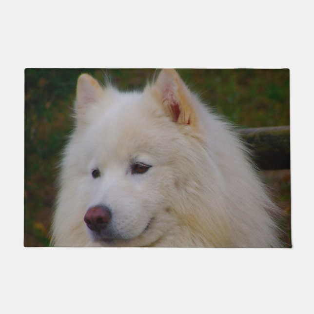 Samoyed Husky. Fußmatte (Vorderseite)