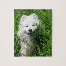 Samoyed im Gras-Puzzlespiel Puzzle