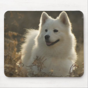 Samoyed-Mausunterlage Mousepad