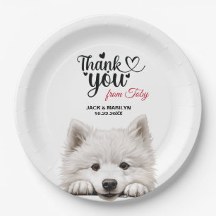 samoyed pappteller