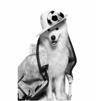 Samoyed Plv Standee Freistehende Fotoskulptur