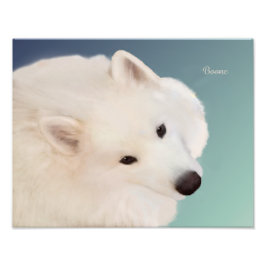 Samoyed Portrait;14" x 11",Prof.Foto Paper Satin Fotodruck