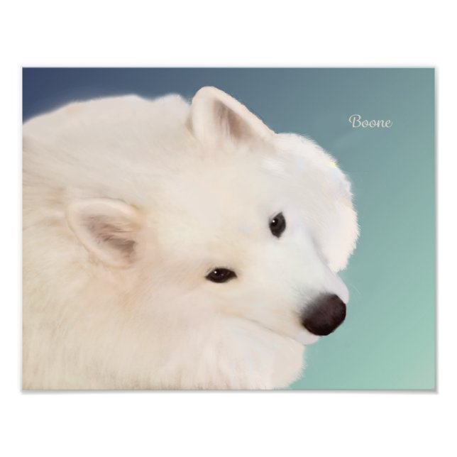 Samoyed Portrait;14" x 11",Prof.Foto Paper Satin Fotodruck (Vorne)