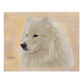 Samoyed Portrait 14X11 Kodak Qualitätspapier Fotodruck