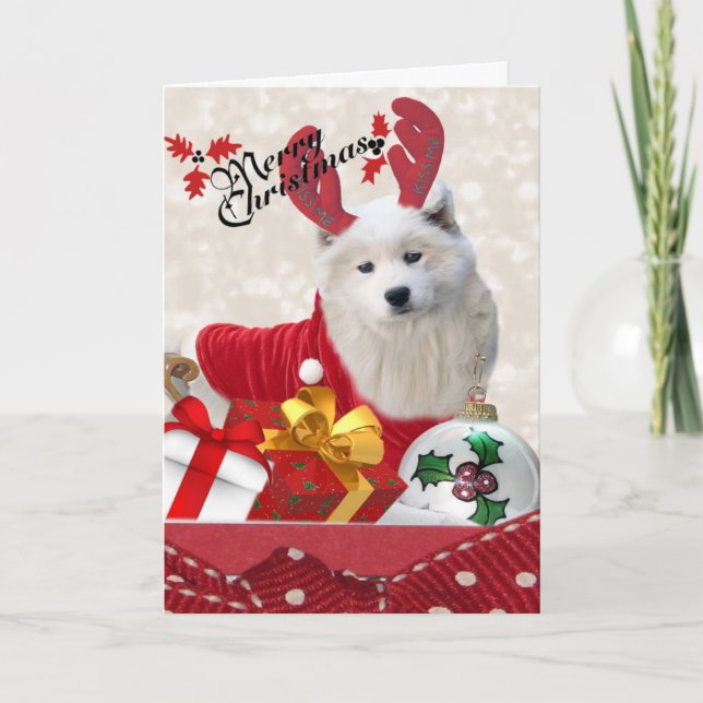 Samoyed Reindeer Frohe Weihnachtskarten Feiertagskarte (Vorderseite)