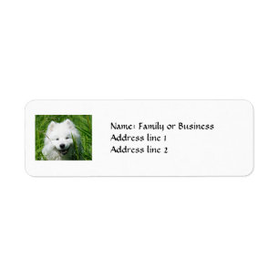 Samoyed-Rücksendeadressen-Aufkleber