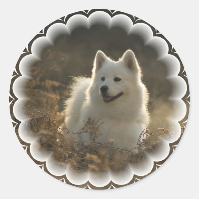Samoyed Stickers (Vorderseite)