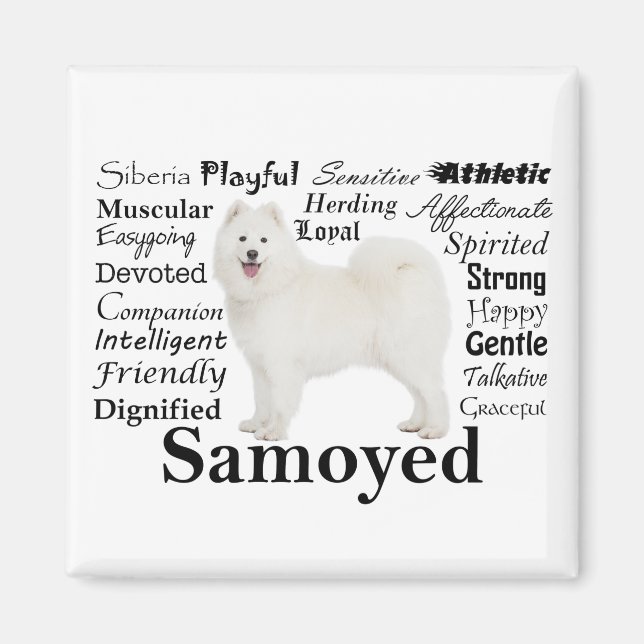 Samoyed Tracks Magnet (Vorne)