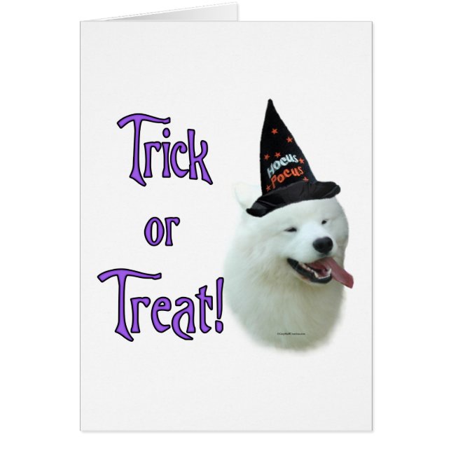 Samoyed Trick (Vorne)