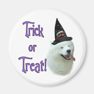 Samoyed Trick Magnet