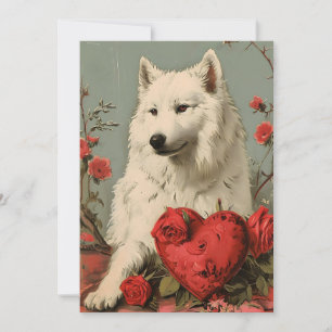 Samoyed Vintag Valentinstag Feiertagskarte
